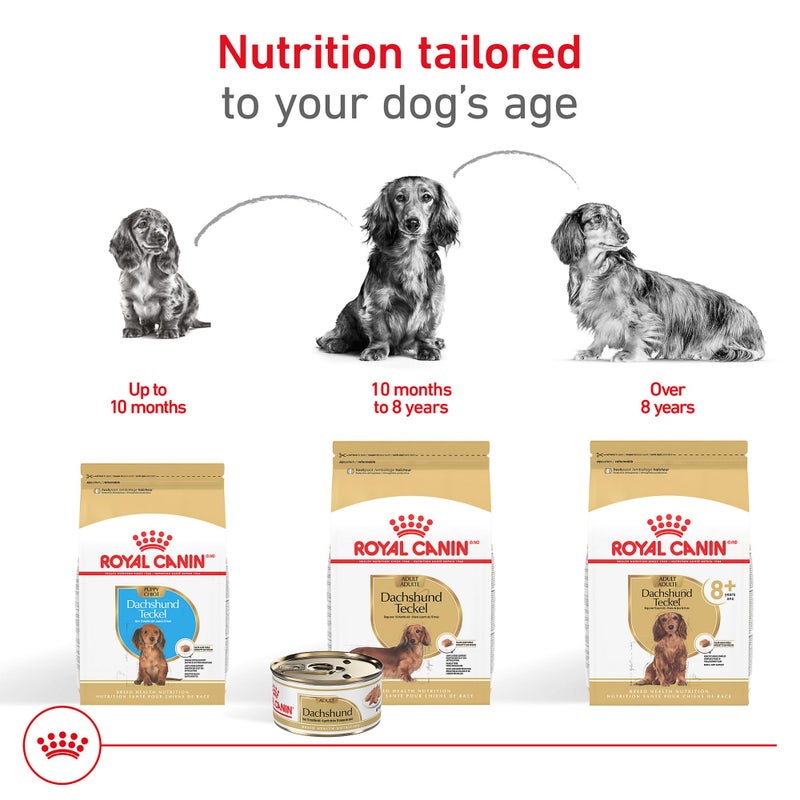 Royal Canin Breed Health Nutrition Dachshund 8+ Senior Dry Dog Food, 3 lb Bag - Image 5